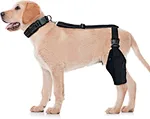 2023 New Dog Knee Brace for Dog ACL Brace Hind Leg Or Rear Leg (Size: L). Dog Leg Braces for Back Leg Can Be Used for Left and Right Interchanges. Better Recovery with Dog ACL Brace